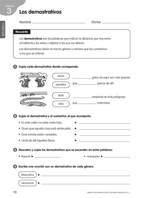Refuerzo Y Ampliacion Lengua 4º Elementary Spanish Ap Spanish Spanish