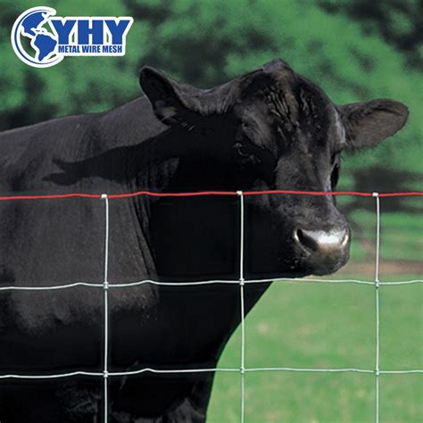 50100 Hole Size S Knot Non Climb Field Fence For Horse China Horse