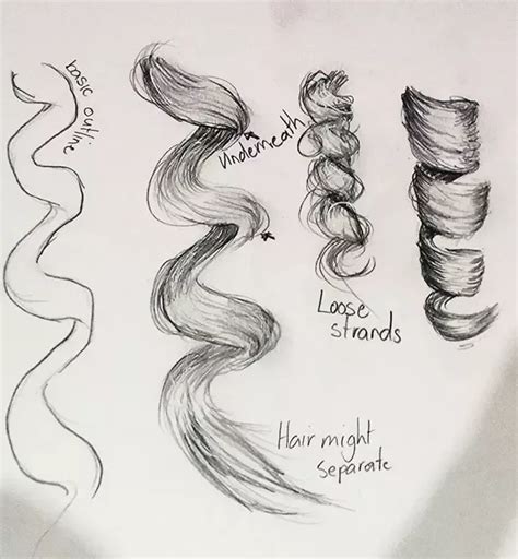 How To Draw Realistic Looking Curly Hair Quora