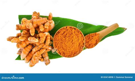 Turmeric Root And Dry Tumeric In Wood Bowl Stock Photo Image Of