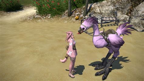 Once the chocobo has been fed a suitable combination of snacks, its plume will change after 6 hours (earth time). Chocobo Color Screenshots - No how-to's please, only ...