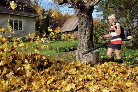 An Easy Way For Stay At Home Mom S To Clean Deck The Modern Day S Housewife