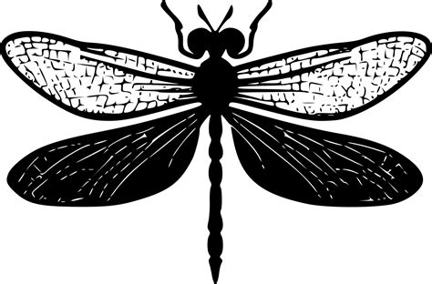 Dragonfly Black And White Isolated Icon Vector Illustration