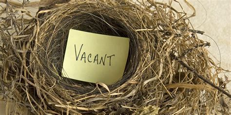 5 Genius Empty Nest Ideas That Will Fill Your Void Fast ...