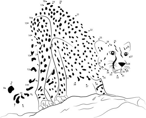 Connect The Dots Cheetah Printable For Kids And Adults Free