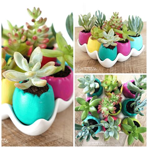 Easter Egg Succulent Planters Happiness Is Homemade