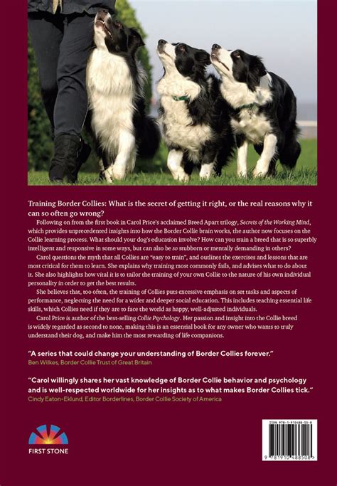 Border Collies A Breed Apart Book Two Essential Life Skills And Learning