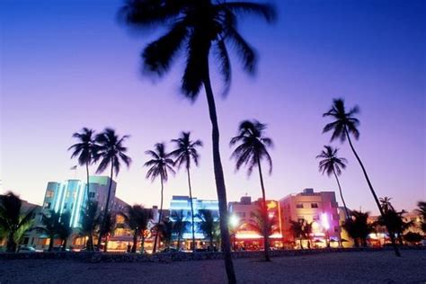 Discover Miami Nightlife Guide Vip South Beach