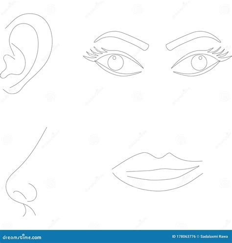 Nose And Lips Abstract Drawing One Line Girl Or Woman Portrait Design