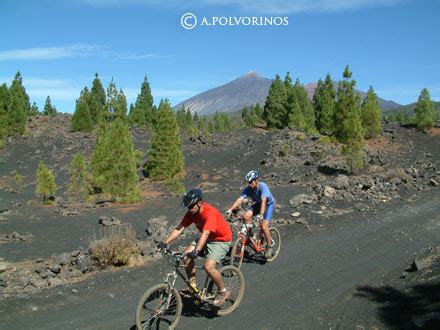 Montaña el chinyero är en vulkan i spanien. Grandes Rutas: 6º Día. Volcanes y tortugas