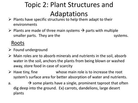 Ppt Topic 2 Plant Structures And Adaptations Powerpoint Presentation