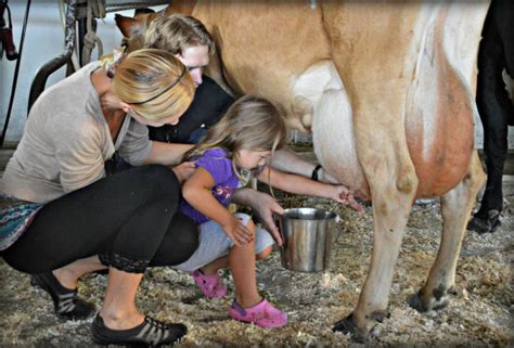 Not only is demarest farms in very close proximity to new york city, but the quaint spot also boasts a petting zoo where you can feed. Farm Stays Near NYC: Enjoy a Farm-Themed Family Vacation ...