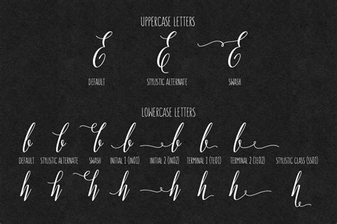 Download the best free fonts including the basic, script, handwritten, brush, calligraphy, sans serif and all other fonts for personal & commercial use. Adalberta | How to draw hands, Lower case letters, Ligature