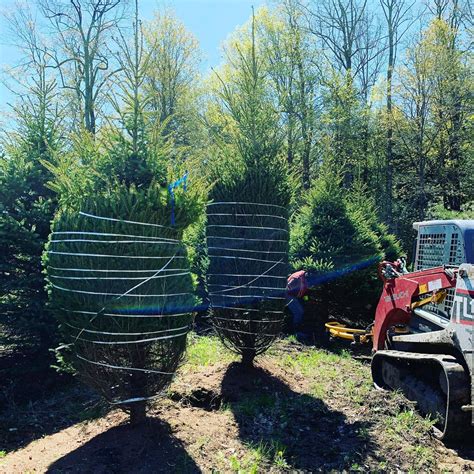 Canada alberta british columbia calgary edmonton hamilton mississauga montreal ontario ottawa quebec toronto vancouver winnipeg. Dutchmaster Nurseries added a new photo... - Dutchmaster ...