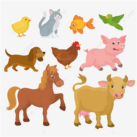 Animal Group Clipart Png
