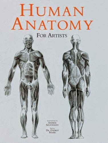 Female Body Anatomy For Artist Human Anatomy For The Artist Pdf Free