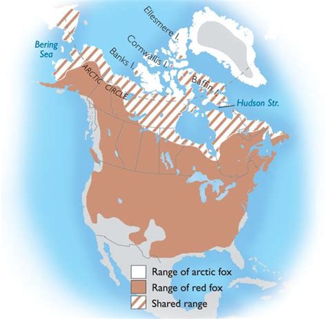 Range Map For The Red Fox Red Fox Facts Arctic Fox Facts Fox Facts