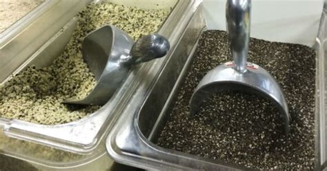 Boosts hair growth & makes hair shiny. The Benefits of Chia Seeds for Hair | NaturallyCurly.com