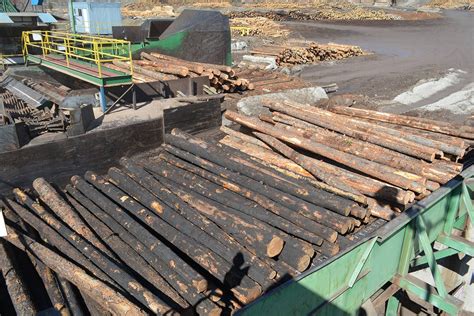 Burned Timber Still Salvageable But Clock Is Ticking British Columbia Community Forest
