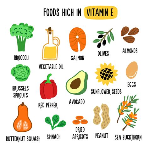 Alimentos Ricos Em Vitamina E Fonte De Vitamina E Ilustração Em Vetor