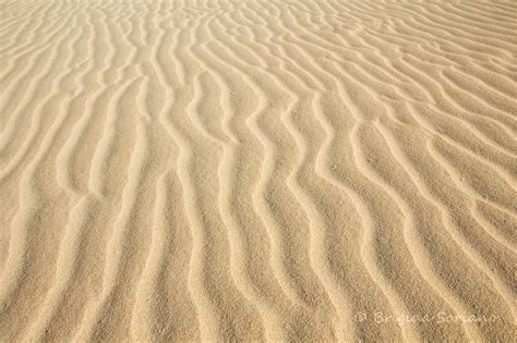 Desert Sand Pattern Texture Desert Sand Pattern Texture Background