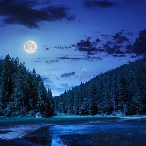 Pine Forest And Lake Near The Mountain Late At Night Stock Photo