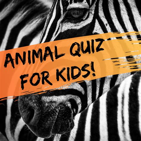 Ask questions and get answers from people sharing their experience with treatment. Multiple-Choice Quiz for Kids: Fun Animal Trivia Questions ...