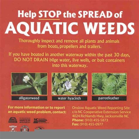 Federal noxious weeds key for the spread of weeds to new regions. Aquatic, Wetland, and Invasive Plants | Invasive plants ...