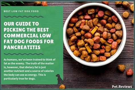 Good low calorie treats for dogs will contain wholesome and natural ingredients, no fillers or artificial ingredients. Top 10 Dog Treat Recipes 2019 - Easy Homemade Recipes | Low fat dog food