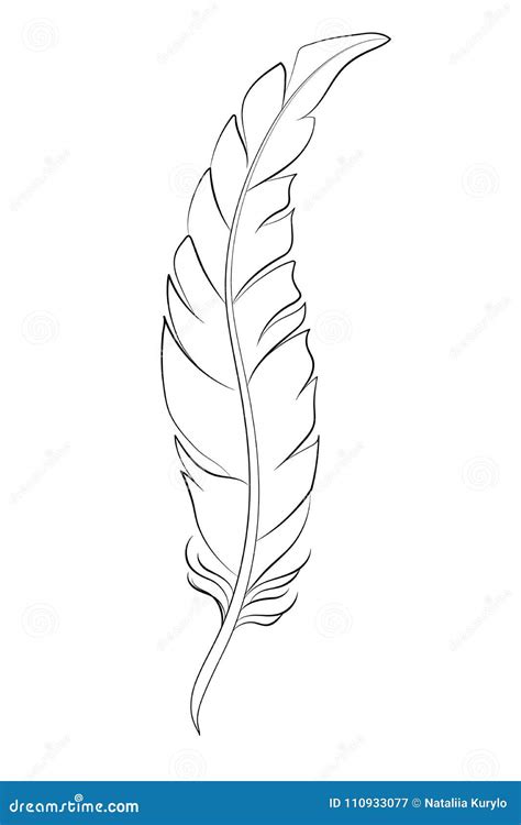 Feather Sketch For Coloring Stock Vector Illustration Of Decorative