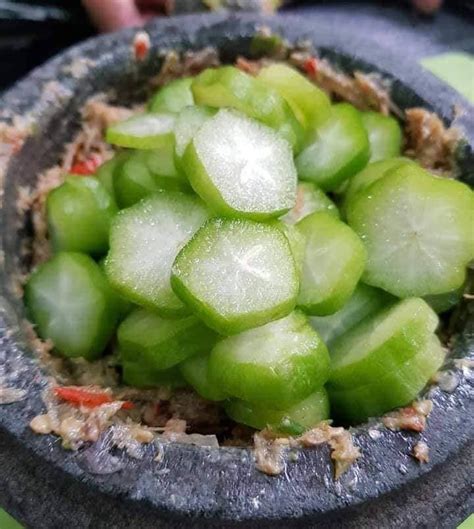 Bagaimana cara merebus belimbing buluh untuk sambal hitam pahang. Menu Pembuka selera. Cara untuk membuat Sambal Ketuk Ikan ...