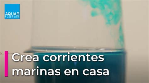 Las Corrientes Marinas ¿cómo Surgen Fundación Aquae