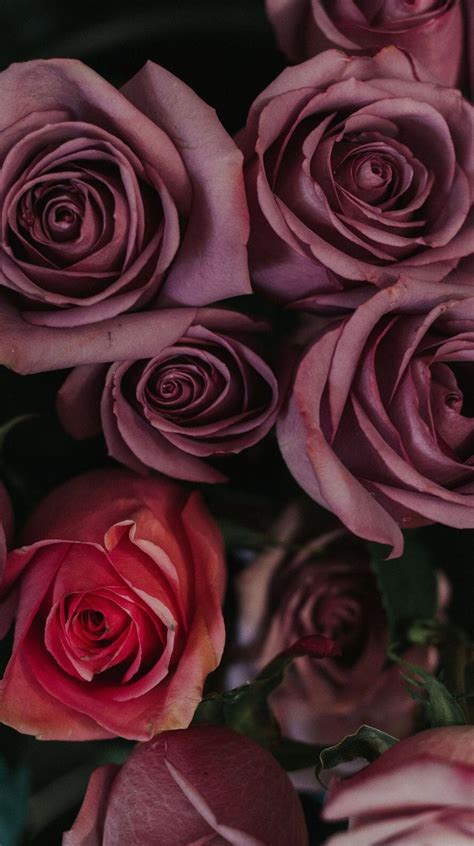 Rose gold marble wallpaper fondo de iphone fondos de pantalla. Pin by Noha Gad on iphone Wallpaper | Rose flower, Flowers ...