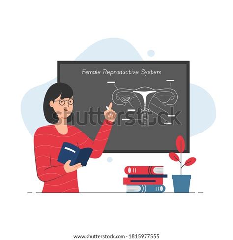 Teacher Giving Biology Lesson Sex Education Stock Vector Royalty Free