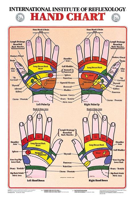 Hand Reflexology Chart International Institute Of Reflexology Hand Reflexology Reflexology