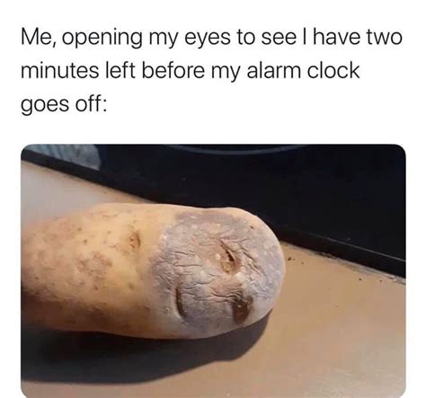 Let That Potato Rest Moldy Memes Know Your Meme