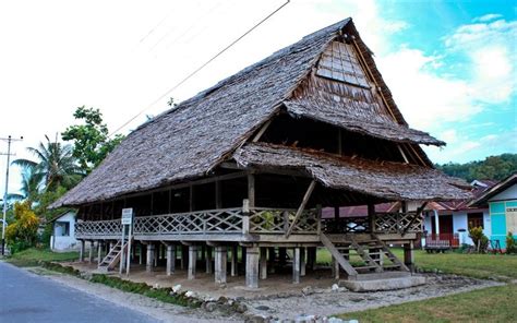 Rumah Adat Maluku Nama Jenis Sejarah Hingga Ciri Khasnya