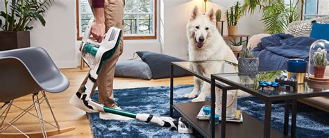 Alles über tiere, pflanzen kaninchen sind, entgegen landläufiger meinung, keine geeigneten haustiere für kleine kinder, da. Haustiere - Tipps für eine saubere Wohnung