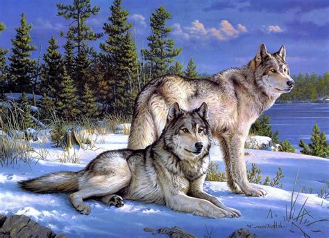 Hd Wallpapers For Pc Wolf Wolf Background Images