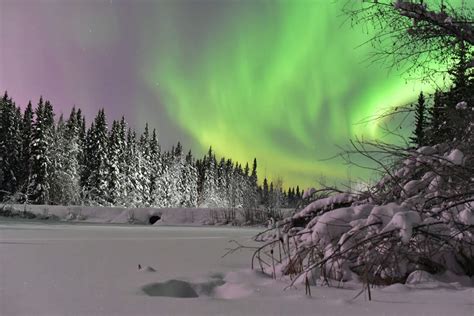 Aurora In North Pole D750 With Tamron 24 70mm F28 Rnikon