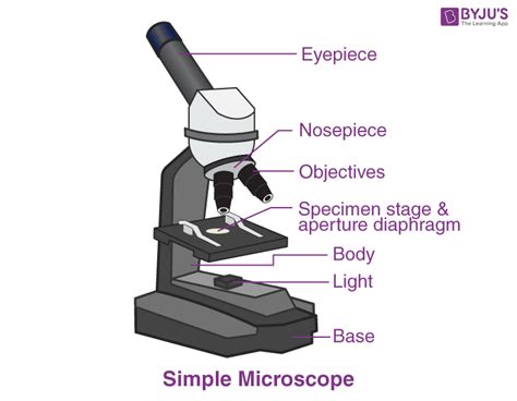Types Of Microscopes Definition Working Principle Diagram