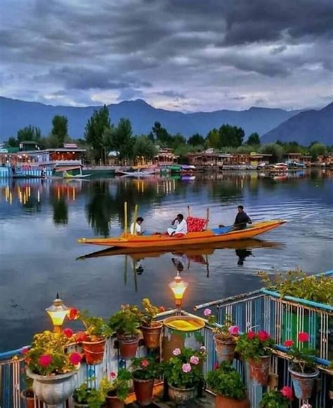 A Boat Floating On Top Of A Lake Next To A Wooden Dock Filled With Potted Plants