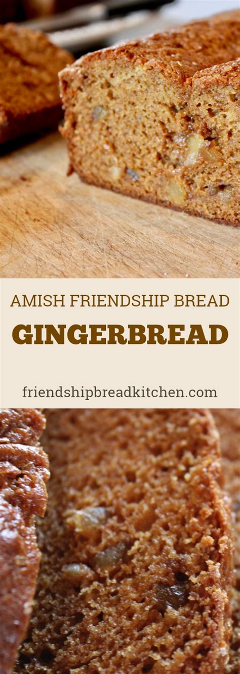Stir in 1 cup flour, 1 cup sugar and 1 cup milk. Gingerbread Amish Friendship Bread | Recipe in 2020 | Friendship bread, Friendship bread recipe ...