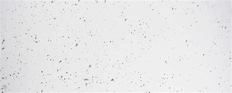 Here are only the best plain white wallpapers. White background Tumblr ·① Download free cool HD ...