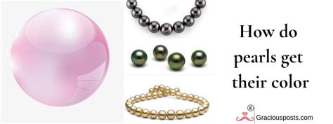 Pearl Identification How Do Pearls Get Their Colour