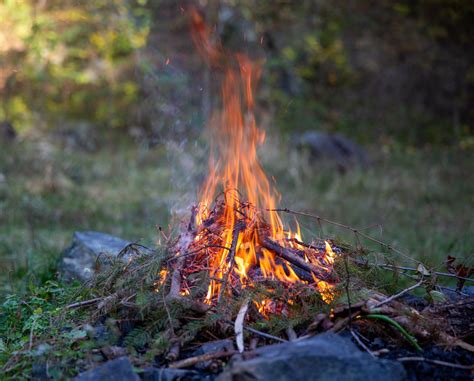 Free Photo Campfire