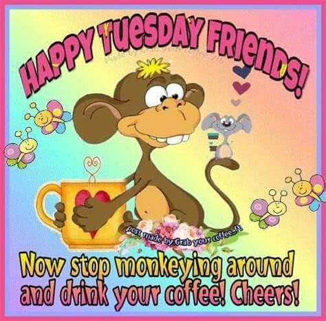 Tuesday morning quotes and images. Stop Monkeying Around And Drink Your Coffee! Cheers! Happy ...