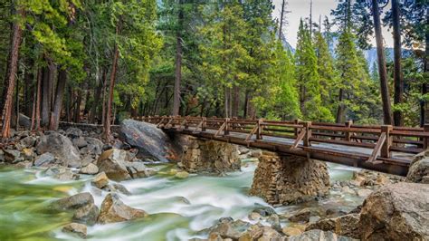 Footbridge Over Merced River Yosemite National Park Backiee