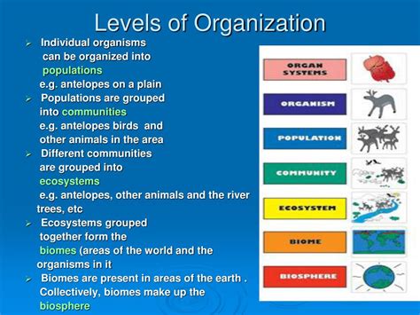 Ppt Interactions Among Living Things Powerpoint