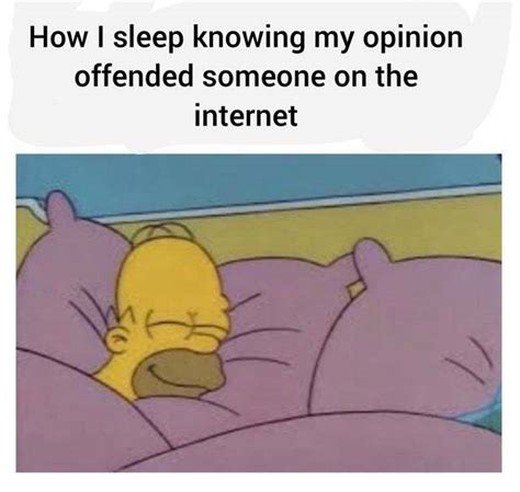 How I Sleep Knowing My Opinion Offended Someone On The Internet Meme